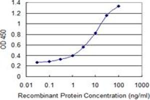 Detection limit for recombinant GST tagged VPS26A is 0. (VPS26A 抗体  (AA 228-327))