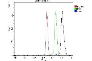 Flow Cytometry analysis of U937 cells using anti-TLR4 antibody (ABIN7601585). (TLR4 抗体  (AA 39-616))