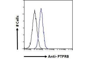 Flow Cytometry (FACS) image for anti-Protein tyrosine Phosphatase, Receptor Type, B (PTPRB) (Internal Region) antibody (ABIN570874)