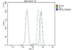 Flow Cytometry analysis of THP-1 cells using anti-METTL3 antibody (ABIN7602808). (METTL3 抗体  (C-Term))