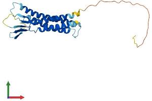Protein Structure (PS) image for Claudin 10 (CLDN10) (AA 1-228) protein (His tag) (ABIN7546611)