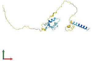 Protein Structure (PS) image for Ring Finger Protein 185 (RNF185) (AA 1-192) protein (His tag) (ABIN7551519)