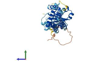 Protein Structure (PS) image for SEC22 Vesicle Trafficking Protein Homolog C (SEC22C) (AA 1-303) protein (His tag) (ABIN7559008)