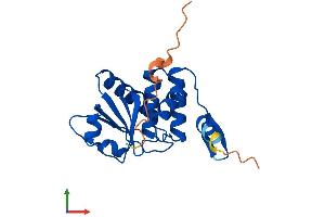 Protein Structure (PS) image for Dual Specificity Phosphatase 14 (DUSP14) (AA 1-198) protein (His tag) (ABIN7547243)