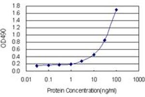 Sandwich ELISA detection sensitivity ranging from 1 ng/mL to 100 ng/mL. (E4F1 (人) Matched Antibody Pair)