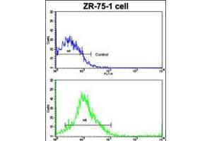 Flow cytometric analysis of ZR-75-1 cells using(bottom histogram) compared to a negative control cell (top histogram).