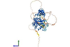 Protein Structure (PS) image for PAK3 (PAK3) (AA 1-559) protein (His tag) (ABIN7554851)