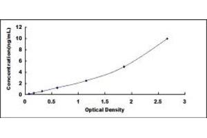 Typical standard curve (RAF1 ELISA 试剂盒)