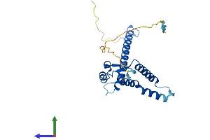 Protein Structure (PS) image for Chromosome 4 Open Reading Frame 43 (C4orf43) (AA 1-221) protein (His tag) (ABIN7560596)