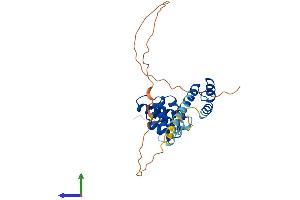 AlphaFold protein structure predicition of Human Recombinant SIX1 Protein, UniprotID Q15475