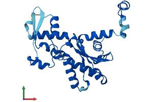 AlphaFold protein structure predicition of Human Recombinant ACTL10 Protein, UniprotID Q5JWF8