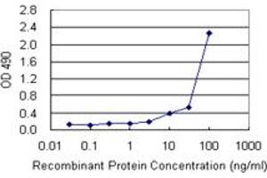 Sandwich ELISA detection sensitivity ranging from 3 ng/mL to 100 ng/mL. (TNFSF9 (人) Matched Antibody Pair)