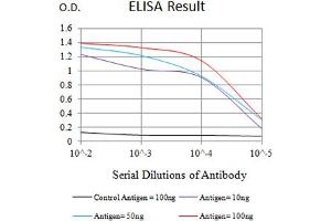 Black line: Control Antigen (100 ng),Purple line: Antigen (10 ng), Blue line: Antigen (50 ng), Red line:Antigen (100 ng) (VCAM1 抗体  (AA 25-183))