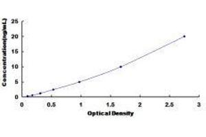 ELISA image for Peroxisome Proliferator-Activated Receptor gamma (PPARG) ELISA Kit (ABIN1118054)