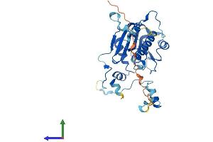 Protein Structure (PS) image for FtsJ RNA Methyltransferase Homolog 1 (FTSJ1) (AA 1-329) protein (His tag) (ABIN7544778)