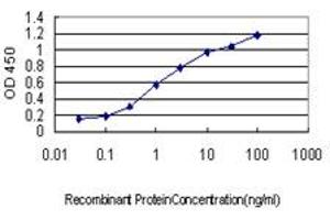 Detection limit for recombinant GST tagged AURKB is approximately 0. (Aurora Kinase B 抗体  (AA 1-90))