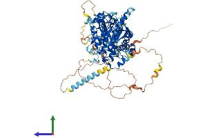 Protein Structure (PS) image for Myotubularin Related Protein 12 (MTMR12) (AA 1-747) protein (His tag) (ABIN7549567)