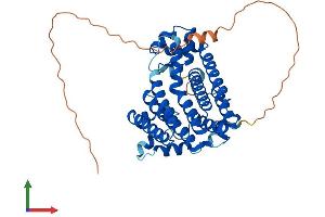 Protein Structure (PS) image for Prenyl (Decaprenyl) Diphosphate Synthase, Subunit 1 (PDSS1) (AA 1-409) protein (His tag) (ABIN7557029)