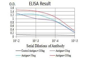 Black line: Control Antigen (100 ng),Purple line: Antigen (10 ng), Blue line: Antigen (50 ng), Red line:Antigen (100 ng) (GLRA1 抗体  (AA 29-154))