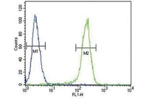 Flow Cytometry (FACS) image for anti-Chemokine (C-C Motif) Receptor 7 (CCR7) (AA 11-37) antibody (ABIN3030497)