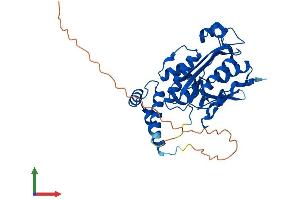 AlphaFold protein structure predicition of Mouse Recombinant Eri1 Protein, UniprotID Q7TMF2