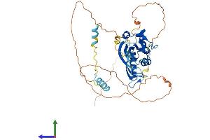 Protein Structure (PS) image for Potassium Channel Tetramerisation Domain Containing 16 (KCTD16) (AA 1-428) protein (His tag) (ABIN7548704)