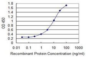 ELISA image for anti-Aldehyde Dehydrogenase 9 Family, Member A1 (ALDH9A1) (AA 173-270) antibody (ABIN513252)