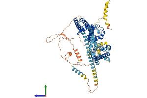 Protein Structure (PS) image for Potassium Voltage-Gated Channel, Shal-Related Subfamily, Member 2 (KCND2) (AA 1-630) protein (His tag) (ABIN7565260)