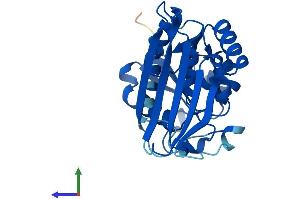 Protein Structure (PS) image for Aspartate Dehydrogenase Domain Containing (ASPDH) (AA 1-283) protein (His tag) (ABIN7552431)