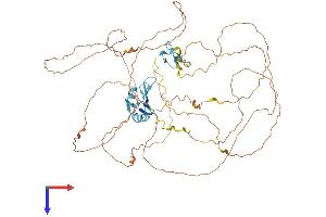 EWSR1 Protein (AA 1-656) (His tag)