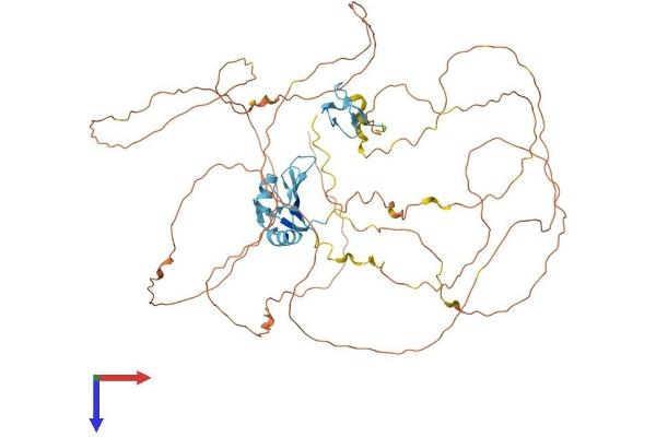 EWSR1 Protein (AA 1-656) (His tag)