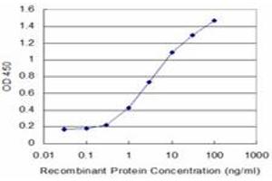 Detection limit for recombinant GST tagged NME2 is approximately 0. (NME2 抗体  (AA 1-152))