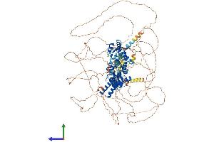 Protein Structure (PS) image for Hyperpolarization Activated Cyclic Nucleotide-Gated Potassium Channel 4 (HCN4) (AA 1-1186) protein (His tag) (ABIN7562559)