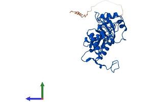 Protein Structure (PS) image for Mitochondrial Ribosomal Protein L4 (MRPL4) (AA 1-294) protein (His tag) (ABIN7561358)