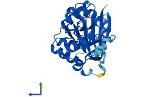 AlphaFold protein structure predicition of Mouse Recombinant Keg1 Protein, UniprotID Q9DCY0