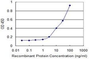 ELISA image for anti-Signal Sequence Receptor, beta (Translocon-Associated Protein Beta) (SSR2) (AA 51-150) antibody (ABIN520506)