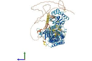 Protein Structure (PS) image for ATPase, Ca++ Transporting, Plasma Membrane 3 (ATP2B3) (AA 1-1220) protein (His tag) (ABIN7552459)