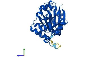 Protein Structure (PS) image for Glycine N-Acyltransferase (GLYAT) (AA 1-296) protein (His tag) (ABIN7560087)