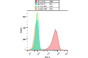 Flow Cytometry (FACS) image for anti-Tumor Necrosis Factor Receptor Superfamily, Member 8 (TNFRSF8) antibody (ABIN2749180)