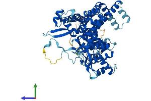 Protein Structure (PS) image for Polymerase (RNA) III (DNA Directed) Polypeptide C (62kD) (POLR3C) (AA 1-534) protein (His tag) (ABIN7555276)