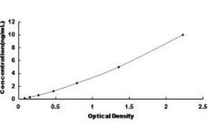 Typical standard curve (CDK8 ELISA 试剂盒)