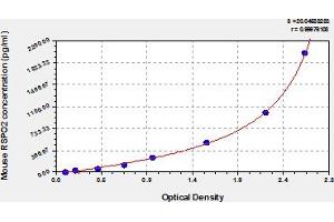 R-Spondin 2 (RSPO2) ELISA Kit