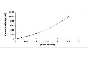Typical standard curve (Vinculin ELISA 试剂盒)