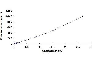 Typical standard curve (LRP2 ELISA 试剂盒)