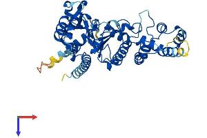 PRIM1 Protein (AA 1-417) (His tag)