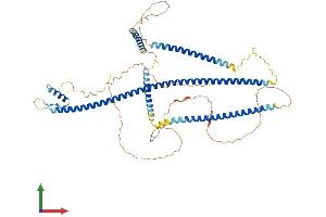 Protein Structure (PS) image for Synovial Sarcoma, X Breakpoint 2 Interacting Protein (SSX2IP) (AA 1-614) protein (His tag) (ABIN7551983)