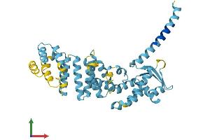 Protein Structure (PS) image for Proteasome (Prosome, Macropain) 26S Subunit, Non-ATPase, 13 (PSMD13) (AA 1-376) protein (His tag) (ABIN7556323)