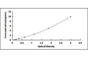 Typical standard curve (UBR4 ELISA 试剂盒)