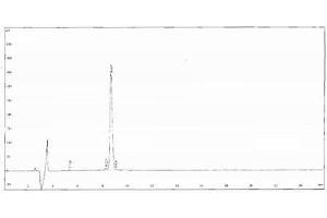 Image no. 2 for Cross Linked C-Telopeptide of Type II Collagen (CTX-II) peptide (Ovalbumin) (ABIN5666107)