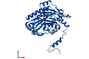 AlphaFold protein structure predicition of Human Recombinant UPB1 Protein, UniprotID Q9UBR1